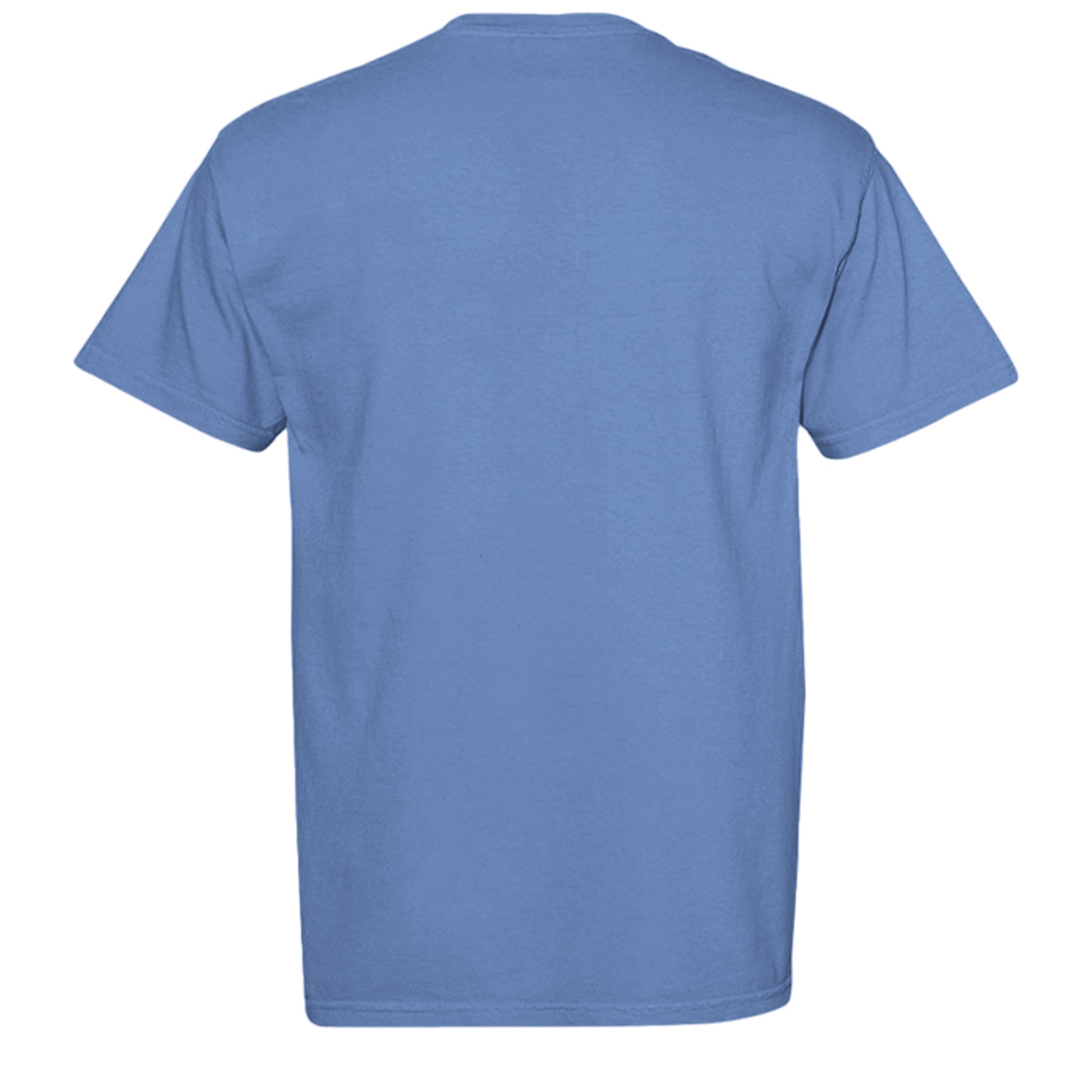 MYSTIC BLUE - C1717 - BACK